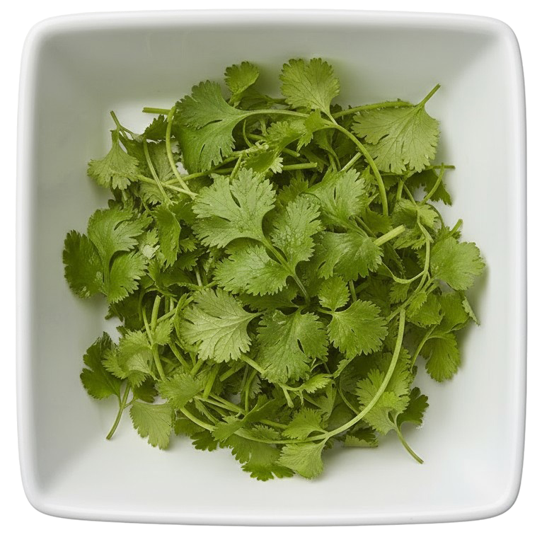 koriander